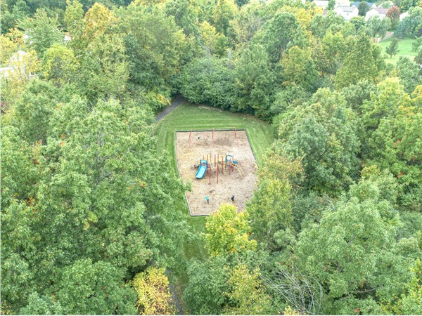 Walk through the woods to this wonderful playscape and enjoy the view