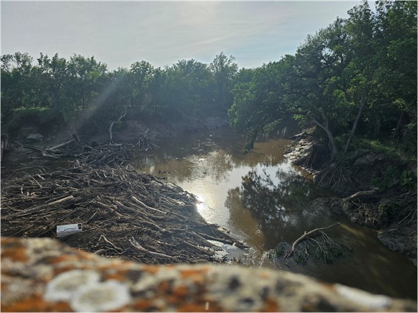 Nature meets stillness—Cottonwood River’s quiet bends and sunlit reflections calm the soul