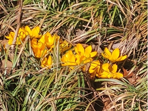 Signs of spring!
