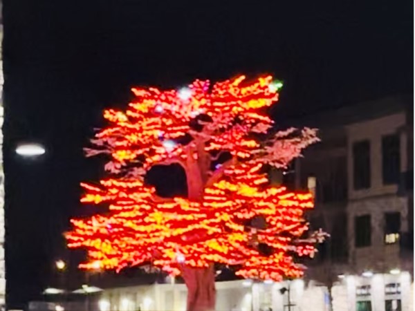 Creekside’s color changing tree