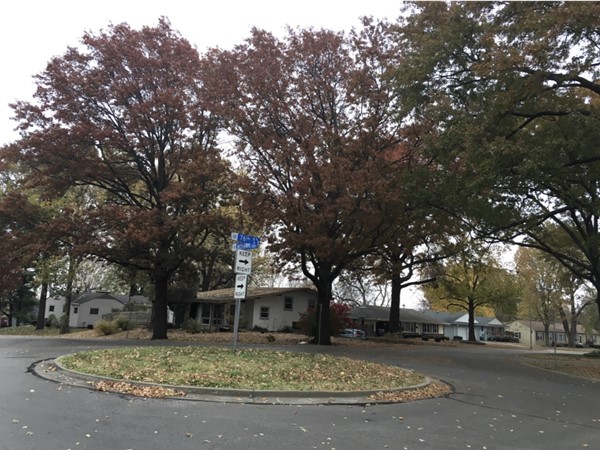 Mature trees line the streets in Mohawk Hill