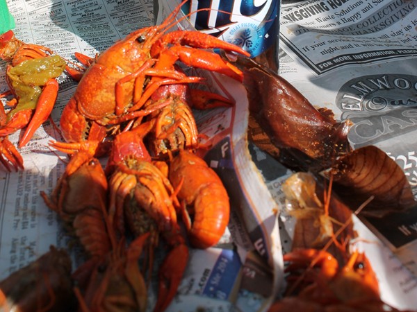 Backyard boil - a favorite spring pastime for locals and crawfish are a spicy southern treat