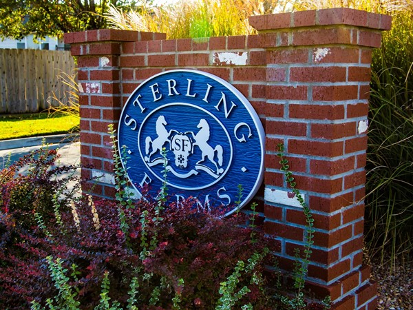 Sterling Farms - close to 21st with lots of restaurants,  Maize schools