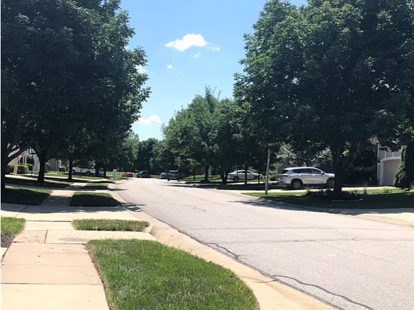 The tree-lined streets of Parkhill Manor