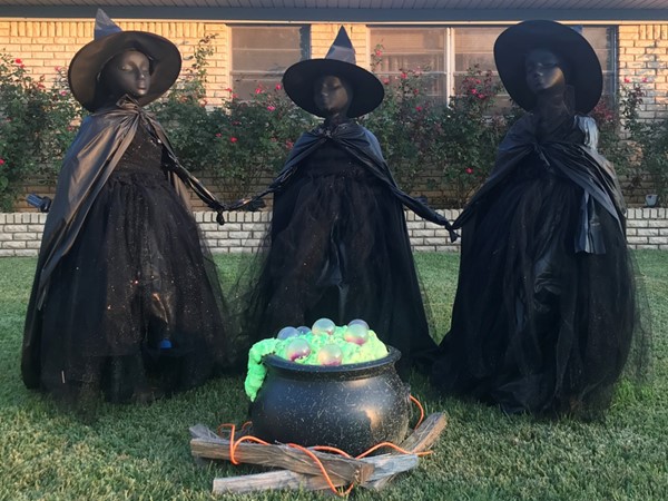  The witches are ready for Halloween