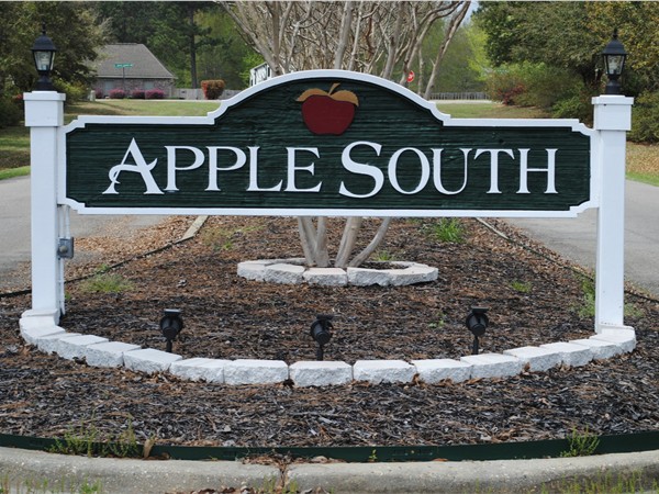 Apple South Neighborhood 