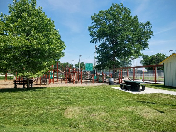 New playground equipment at Forest Park