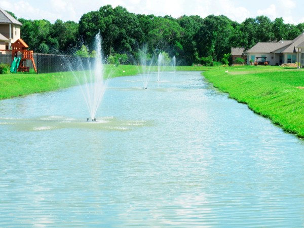Enjoy tranquil water features outside your backdoor at Trinity Court