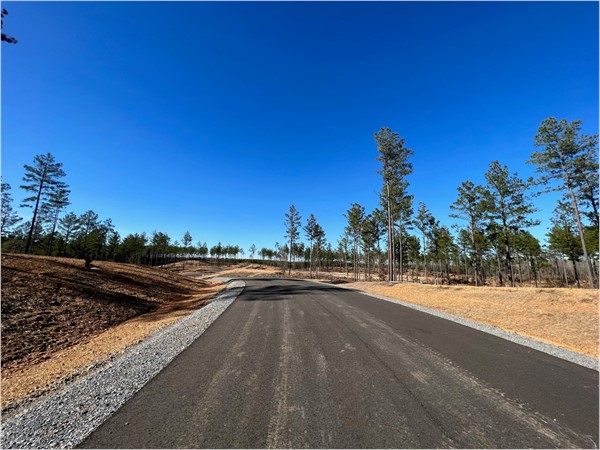 Canyon Creek Village subdivision features two - three acre lots. Come build your dream home