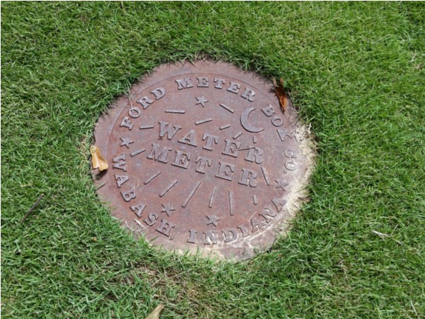 Pretty water meter spotted in Bocage subdivision