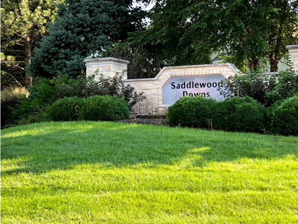 Welcome to Saddlewood Downs