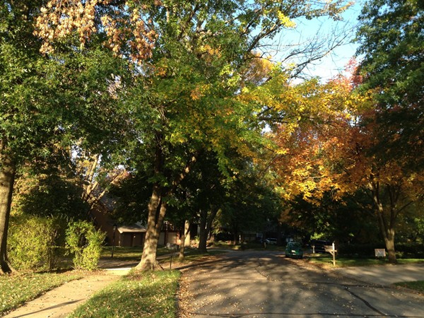 Changing colors in Lawrence