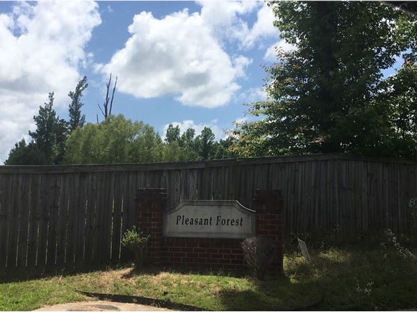 Pleasant Forest subdivision may need an update on their entrance, but it has well maintained homes
