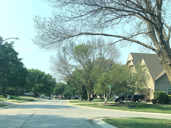 The well-maintained neighborhood of Regency Place