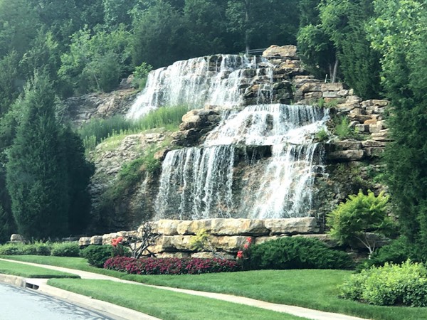 Forest View has huge waterfalls