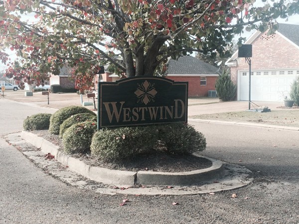 Quiet street and large yards in West Wind subdivision of Richland 
