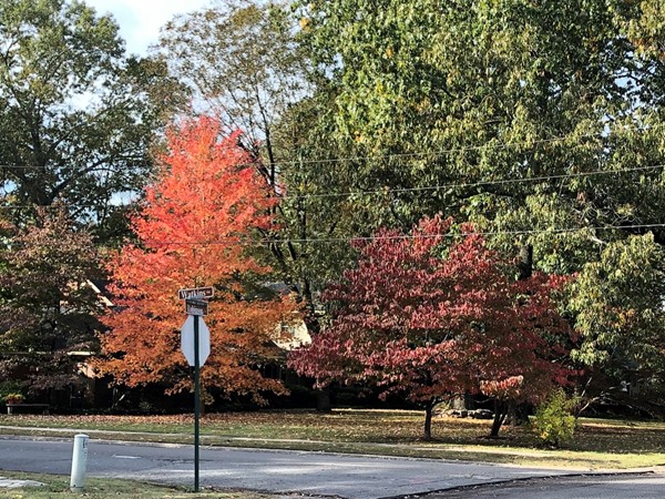 Beautiful fall colors in the Historic District of Conway