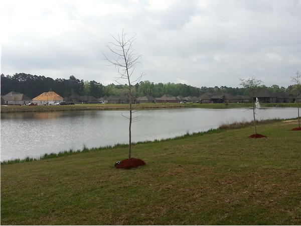New homes coming up everyday on the lake in Woodstock Subdivision.