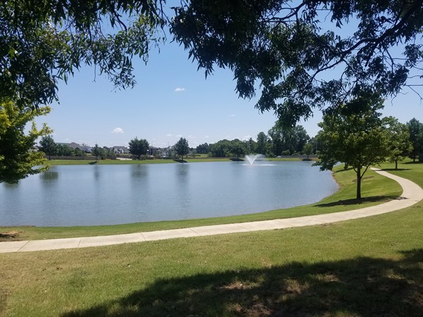 A beautiful neighborhood pond to get your daily walk in to stay healthy and fit