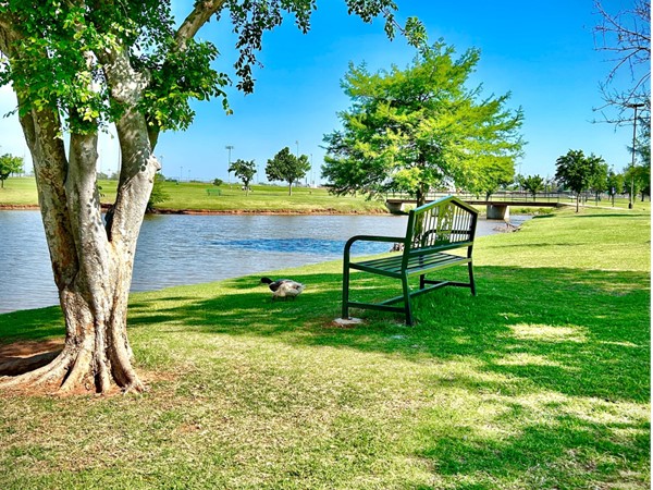  Wild Horse Park is a 158 acre park that includes walking and biking trails with a fishing pond