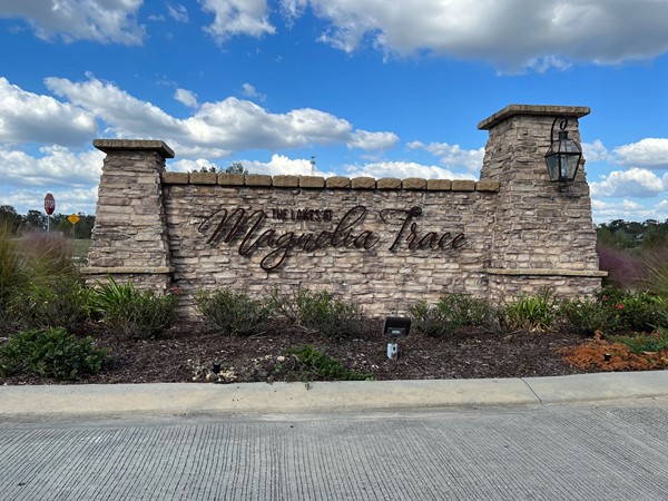 The Lakes at Magnolia Trace is a fantastic little community 