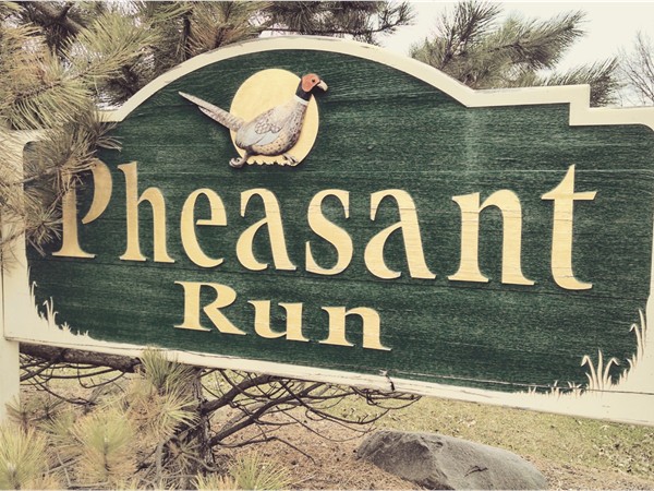 Pheasant Run is a newer subdivision that is served by Clio schools