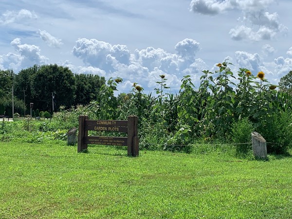 Community Garden - North Jefferson