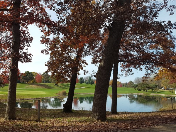 Ellis Golf Course in the fall.  My family's favorite park with lots of activities.