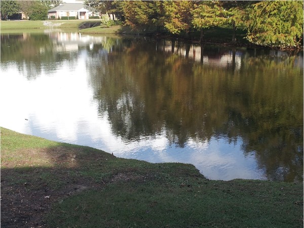 Brink-of-autumn pond view in Estates of Northpark