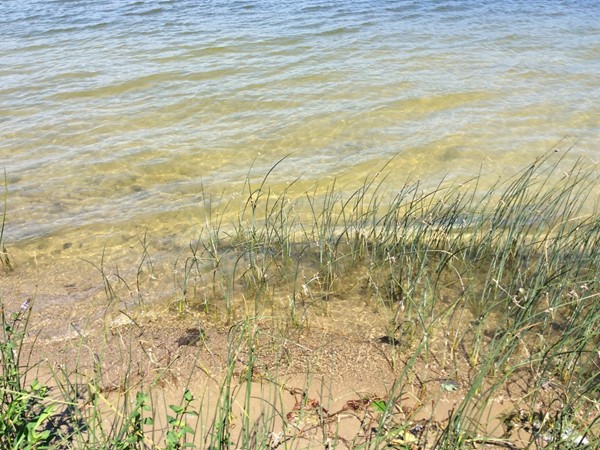 Miner Lake is a clear lake with a sandy bottom