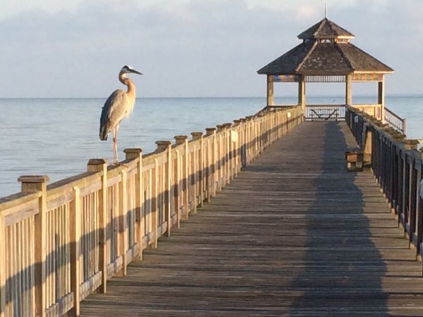 I took this picture while on my morning walk on The Peninsula pier overlooking Mobile Bay