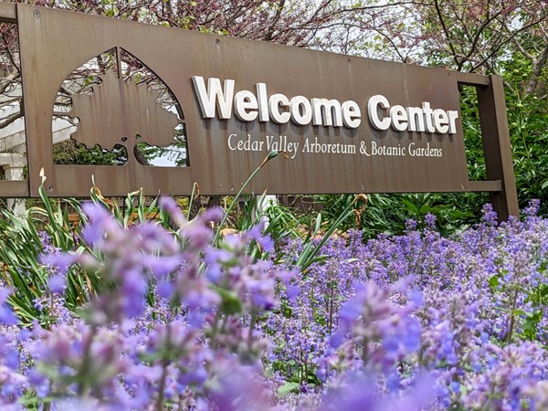 Don't miss the beautiful spring blooms at the Cedar Valley Arboretum