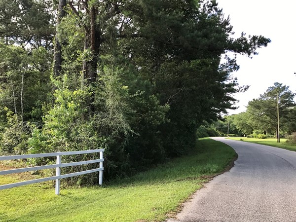 Beautifully wooded land in the Lake Breeze Estates Subdivision
