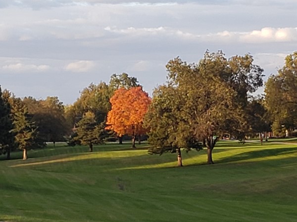 Fall has arrived at Kanza Park
