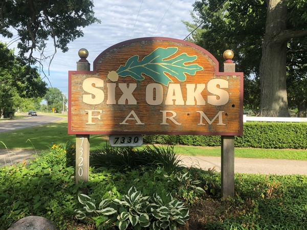 Six Oaks Farm. Home of Deisig Dressage