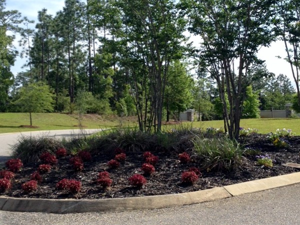 Gorgeous landscaping and constant upkeep of the common areas make Audubon a good choice.