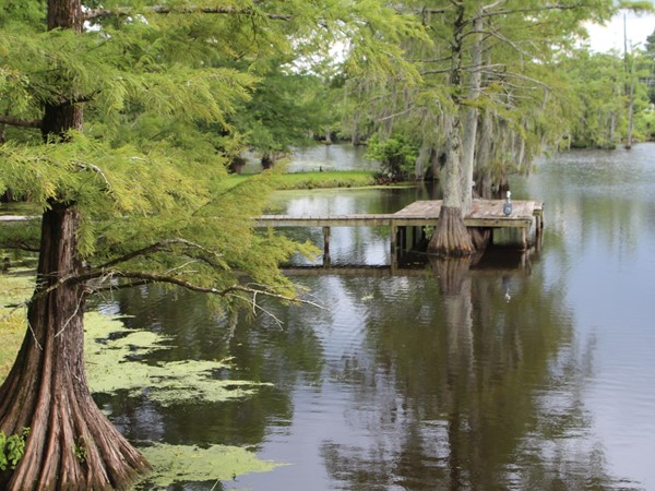 Homes in Treasure Island have access to Bayou DeSiard and Black Bayou Lake