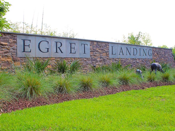 Egret Landing offers luxury homes priced at $300,000 and higher