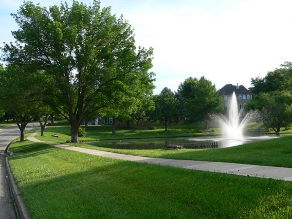 Somerset Estates offers beautiful homes, scenic green space, a short distance to Fleming Park