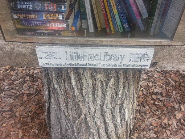 Little Free Library info in Mott Park