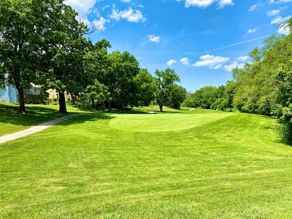 Brookridge Golf Course view from Wycliff neighborhood 
