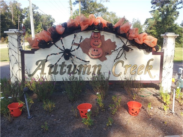 Ready for Halloween 2015!  Autumn Creek Subdivision 
