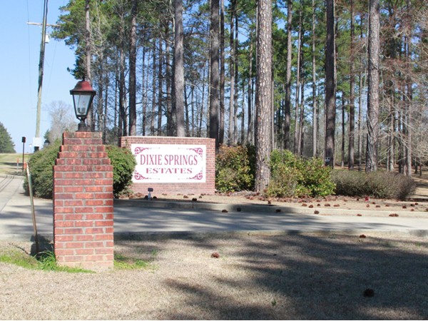 Entrance to the beautful Dixie Springs Estates in North Pike School District in Summit, MS