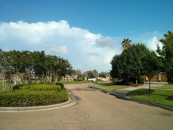 Street view of Fountain Hill neighborhood