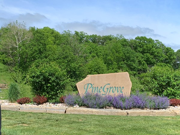 Welcome to Pine Grove in Kansas City, Missouri