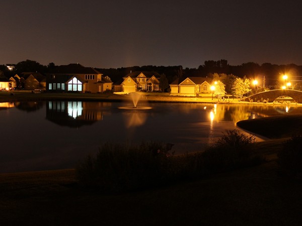 The gorgeous pond lighting at night