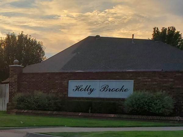 Welcome to Holly Brooke 