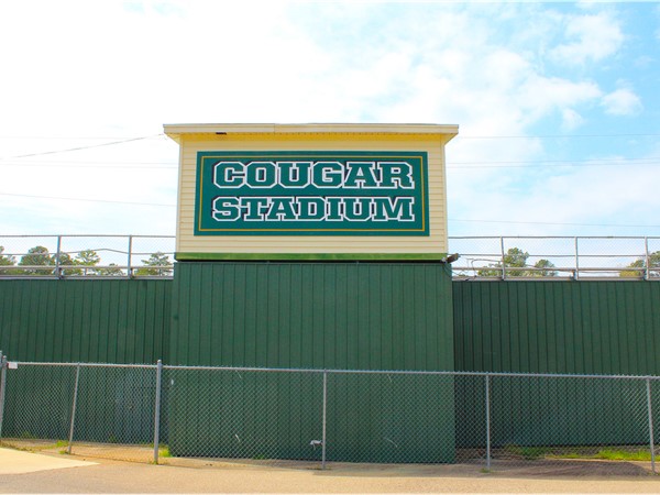 Bathed in green, gold and white, Cougar Stadium at Cedar Creek School offers various football levels