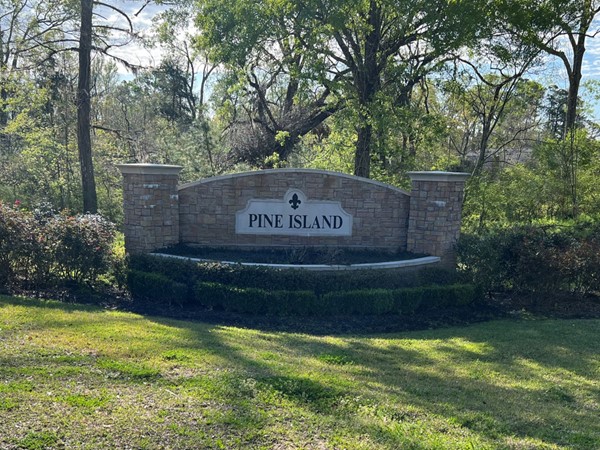 Very nice, peaceful subdivision located between Ponchatoula and Hammond - not far from the mall