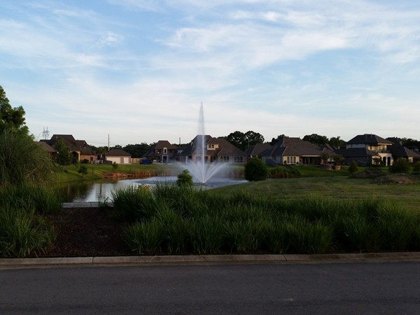 Beautiful landscaping and lakes in Carriagewood Estates
